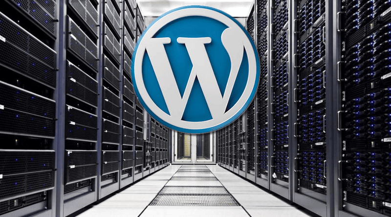 Website | Wordpress Hosting